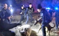 Sterling Heights cops to stand trial after violent arrest of Black man captured on disturbing video