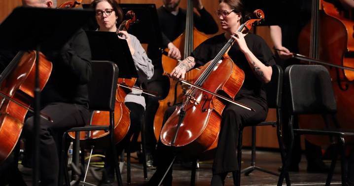 Idaho Falls Symphony announces carnival-themed Freeman Park concert