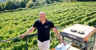 Pazo Tizón apuesta por la modernización en la vendimia