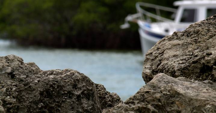 Experts warn migrant surge could hit Florida’s coast as 4 migrant boats stopped Labor Day weekend