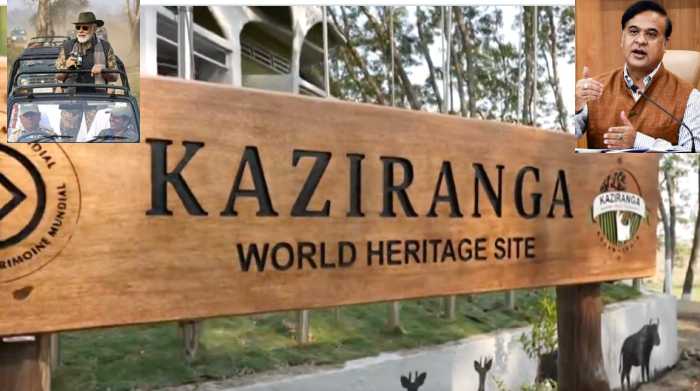 World Rhino Day 2025: The conservation miracle in Assam’s Kaziranga, as the national park boasts 70% of the world’s one