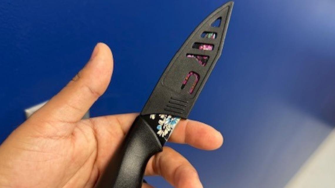Teen arrested after bringing knife to Hillsborough County school