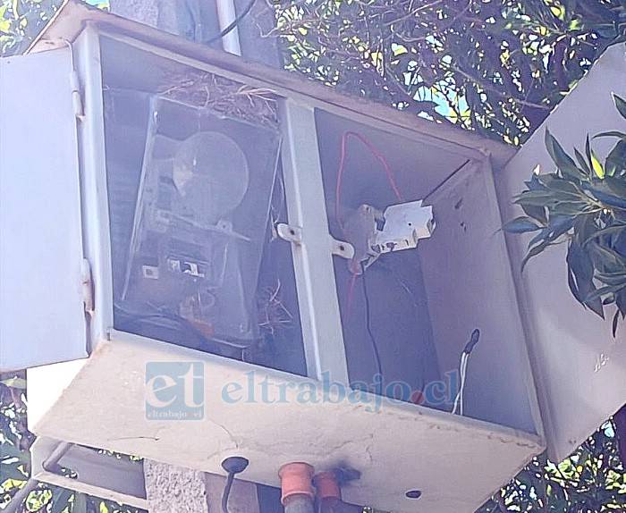 Vecinos no saben cómo solucionar los reiterados cortes de luz provocados por el mal tiempo