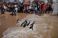 Our world in photos: September 25