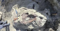 Scientists discover a new dinosaur from Argentina with a crocodile bone in its mouth