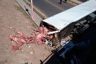 Un camión cargado con carne cayó desde un puente y la gente quería llevarse la mercadería