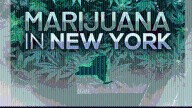 New York cannabis retail sales reach $1.06B for 2025 so far