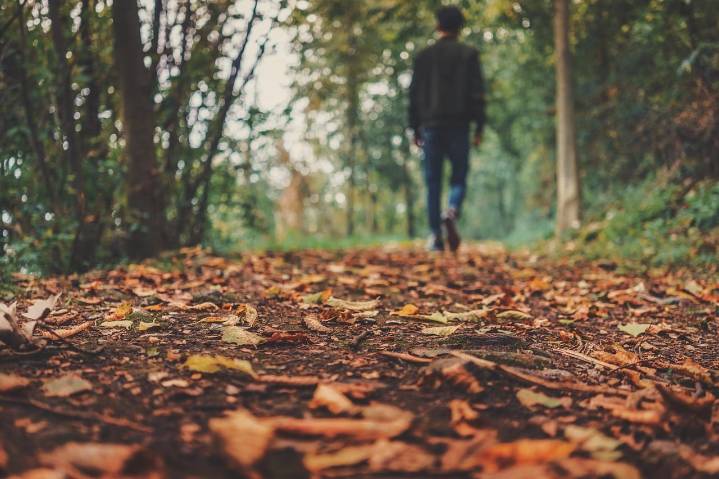 Autumn on Your Plate: The Overlooked Food Safety Hazards of Fall Foods