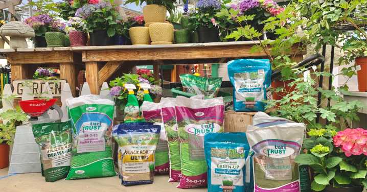 Fall Lawn Fitness: Preparing for Spring's Green Comeback