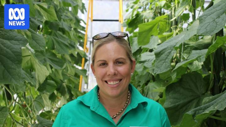 Small north Queensland school invests big in agricultural education