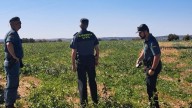 Hallan muerto a un hombre de 79 años que se cayó cuando paseaba cerca de Barbastro