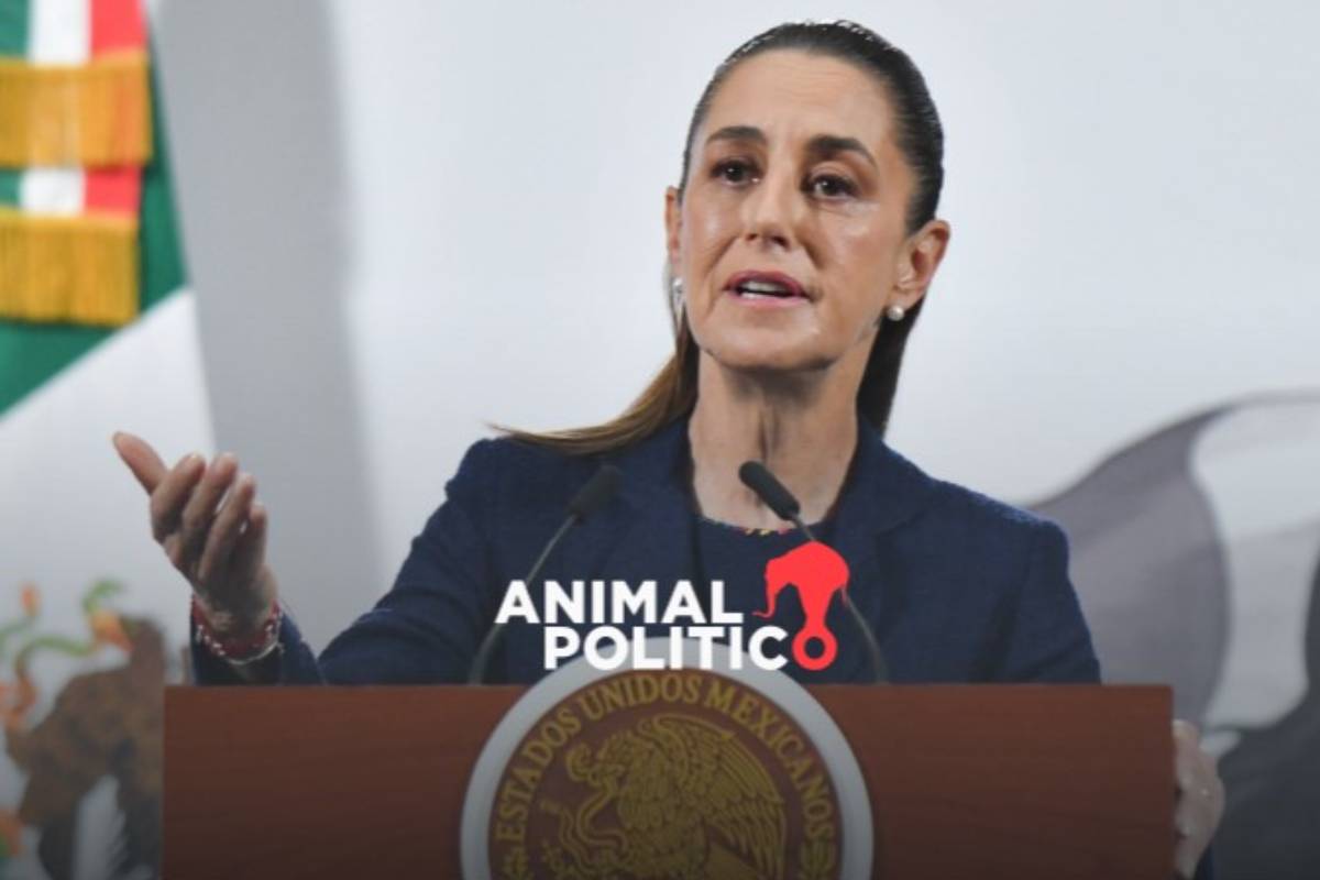 "Parece que fue robo", dice Sheinbaum de agresión contra vehículo en el que viajaba nieta de Rocha