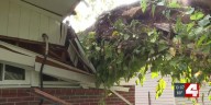 Pregnant mother left homeless after tree falls on rental home; questions raised about renters insurance vs. damage waivers