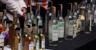Campo poblano en auge: mezcal, café y apoyos históricos para pequeños productores