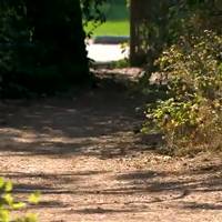 Spokane Valley plans Appleway Trail expansion to connect with Spokane