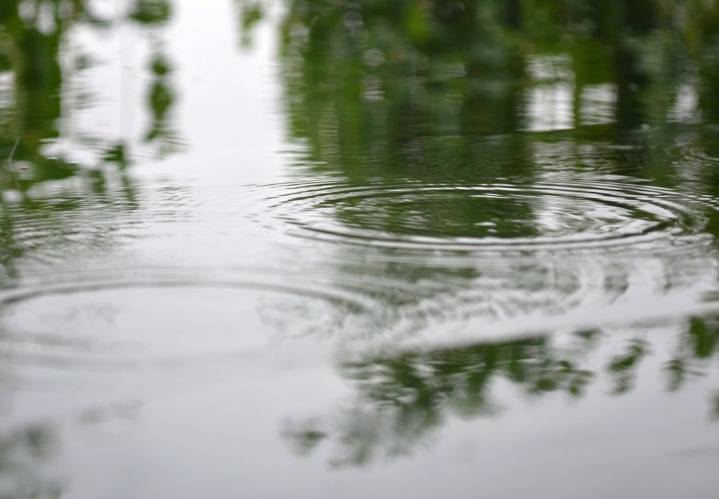 Aviso de niebla en Indianápolis las lluvias regresan