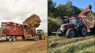 Sugarcane harvest season expected to bring traffic to Assumption Parish