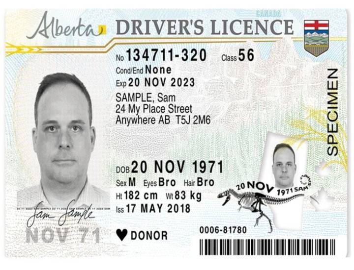 Alberta to add citizenship marker to driver's licence