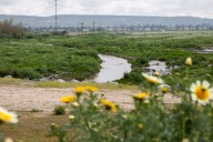 Environment Report: Where Oh Where Are My Tijuana River Sewage Updates