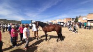 Una tradición que dura 337 años