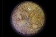 Sorprendente anuncio. Científicos de la NASA encontraron posibles rastros de vida en Marte