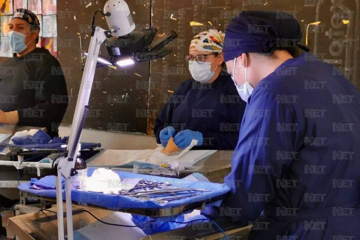 Llevan campaña de esterilización de mascotas a la colonia Campestre