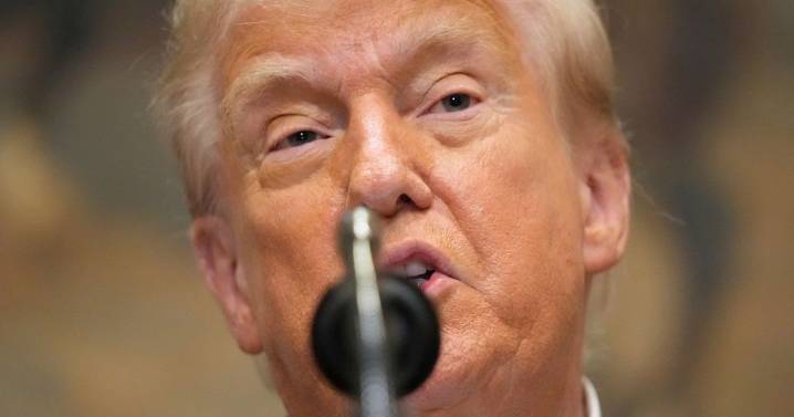 Tylenol makers hit back as Donald Trump issues advice to pregnant women about autism