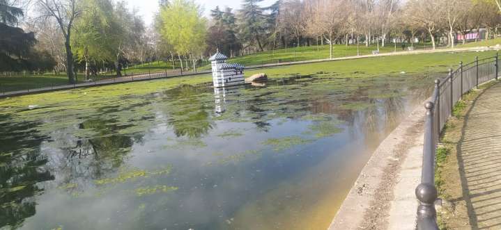 Detienen a dos jóvenes de 14 años por quemar papeleras y contenedores en los Jardines del Prado y el parque de la Alameda