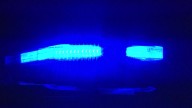 2 women shot Saturday night in Catoosa County, 1 dead