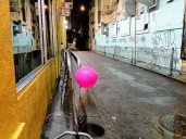 The balloon