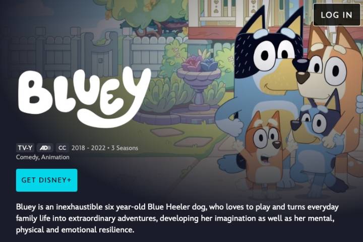 Bluey Movie Coming to Theatres—Parents, Brace Yourselves