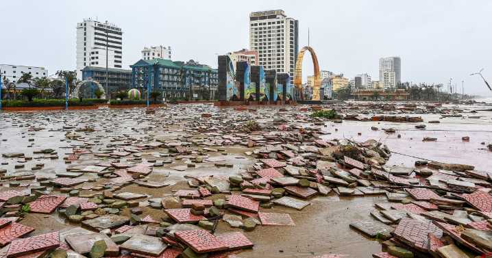 Eight dead and 17 missing as Typhoon Bualoi hits Vietnam