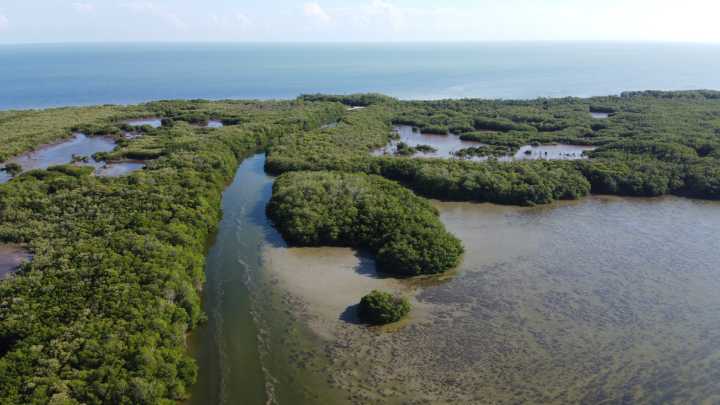URGENTE DESAZOLVE DE BOCAS DE RÍOS