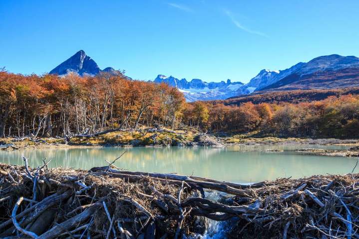 En noviembre habrá fin de semana largo de cuatro días