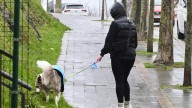 Cataluña en alerta por lluvias intensas y riesgo de inundación: estas son las comarcas avisadas por el Meteocat