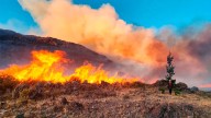 Comunidades en contra de la Ley Forestal por vulnerar sus derechos