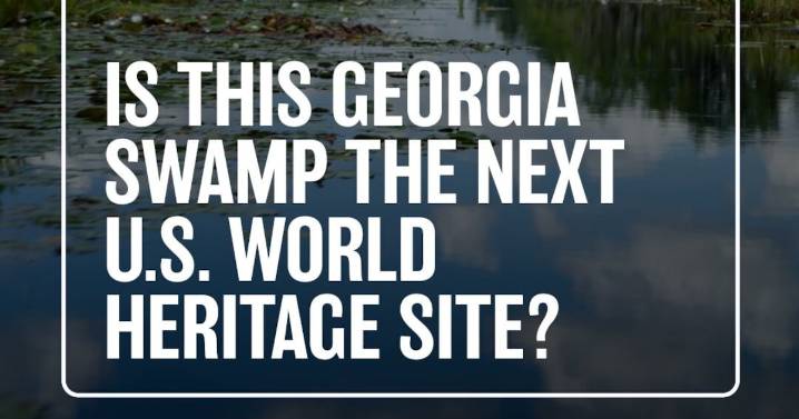Could Okefenokee Swamp become the next UNESCO World Heritage Site?