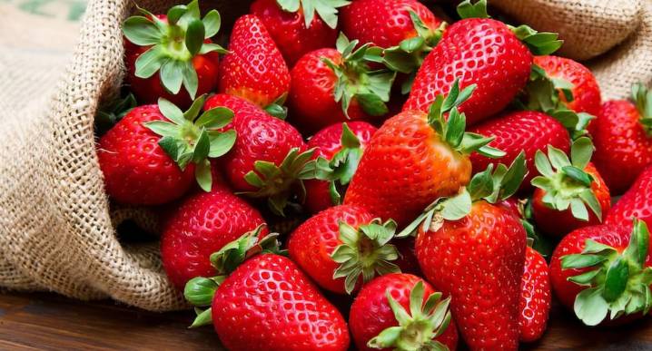 Se abre un nuevo mercado para la agroexportación: las fresas peruanas ahora llegarán a Brasil