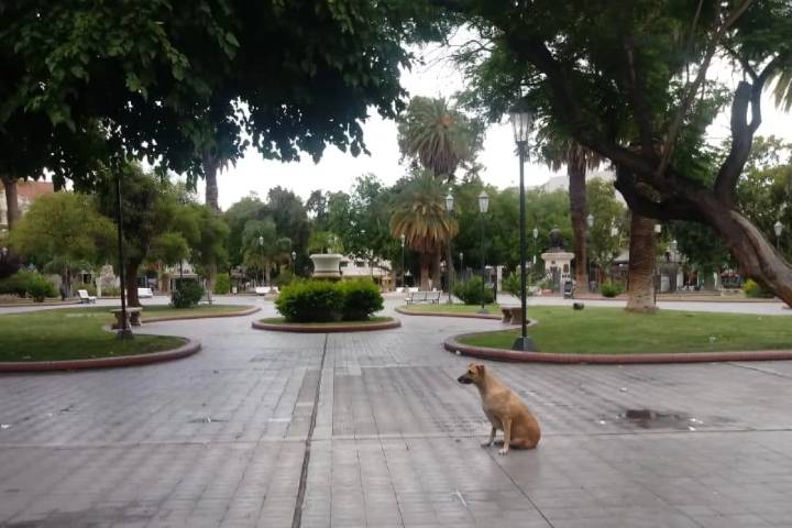 Clima en San Juan: este es el pronóstico del tiempo para el jueves 25 de septiembre