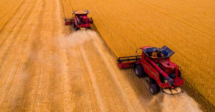 Idaho, Taiwan flour millers sign $1.2 billion wheat deal