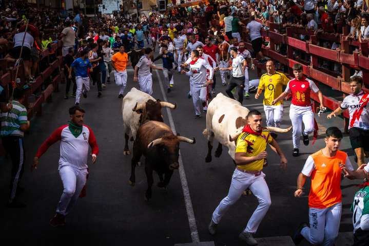 Encierros de San Sebastián de los Reyes 2025: la fuerza de una tradición en imágenes