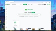 LimeWire (Which Still Exists) Buys Fyre Festival (Which Never Did) on eBay