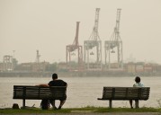 Una investigación revela cómo la contaminación puede desencadenar cambios dañinos en el cerebro que llevan a la neurodegeneración