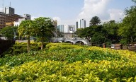 Cali lanza Plan Maestro de Sostenibilidad para liderar la descarbonización y la protección de su biodiversidad