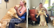 This New Trend Has People Sharing Their Tearjerking Pet Adoption Stories And These 46 Made Us Cry