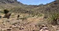 Bureau of Land Management buys private land adjacent to Organ Mountain