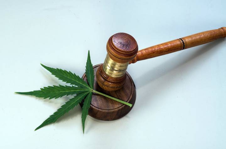 State Appellate Court Broadens Receivership Powers in Cannabis Co.'s Default Proceedings