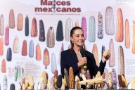 Sheinbaum lanza programa “Sin maíz no hay país” para productores