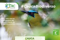 Biodiversidad del Cauca: una amplia variedad de especies y ecosistemas por conocer y conservar