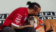 Muere Roscoe, mascota de Lewis Hamilton: “Traerlo a mi vida fue la mejor decisión que tomé”